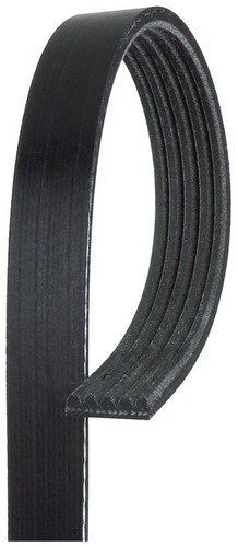 Gates 5pk1248 keilrippenriemen - gates,