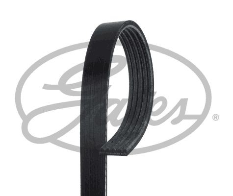 Gates keilrippenriemen für - gates,